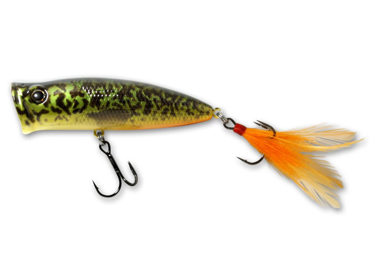 Pulsecod #17 Murray Cod product image