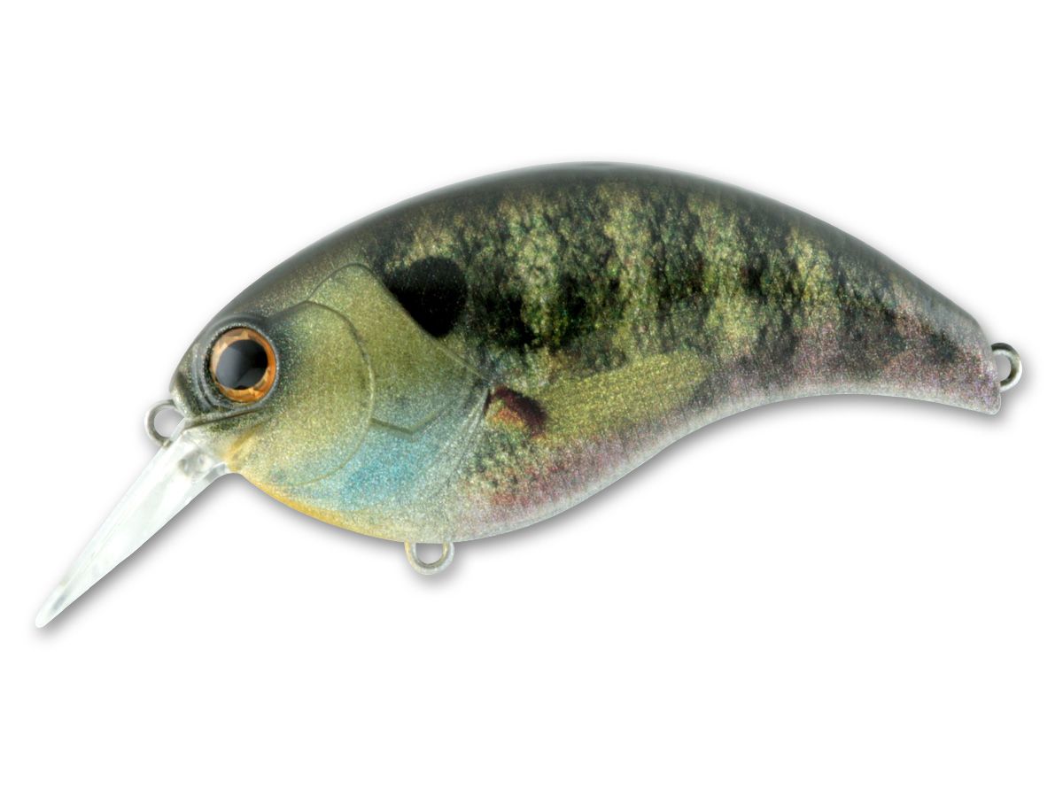 Evoke 3.0 #01 Real Blue Gill product image