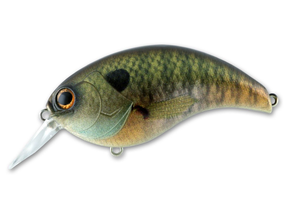 Evoke 3.0 #04 Scum Pearch product image