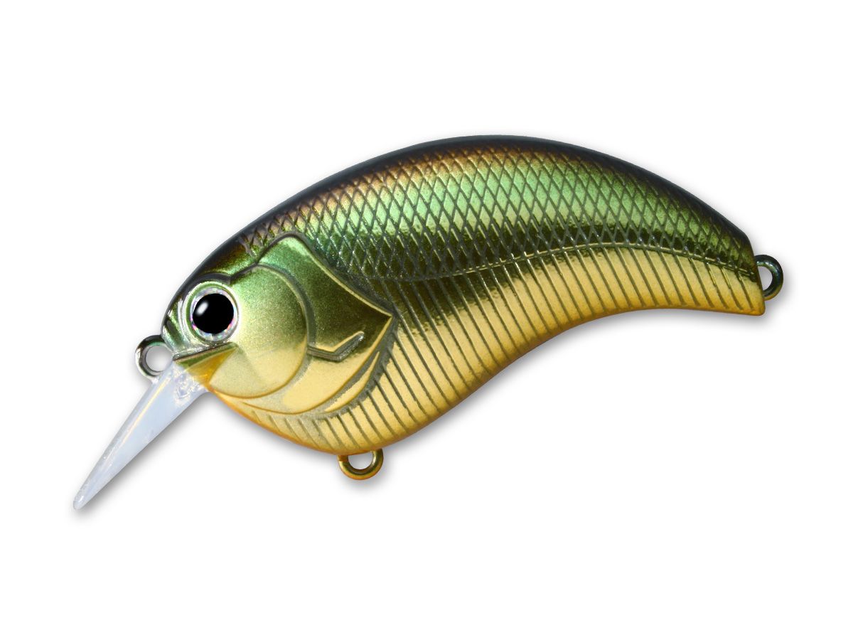 Evoke 1.8 #12 Golden Shiner product image