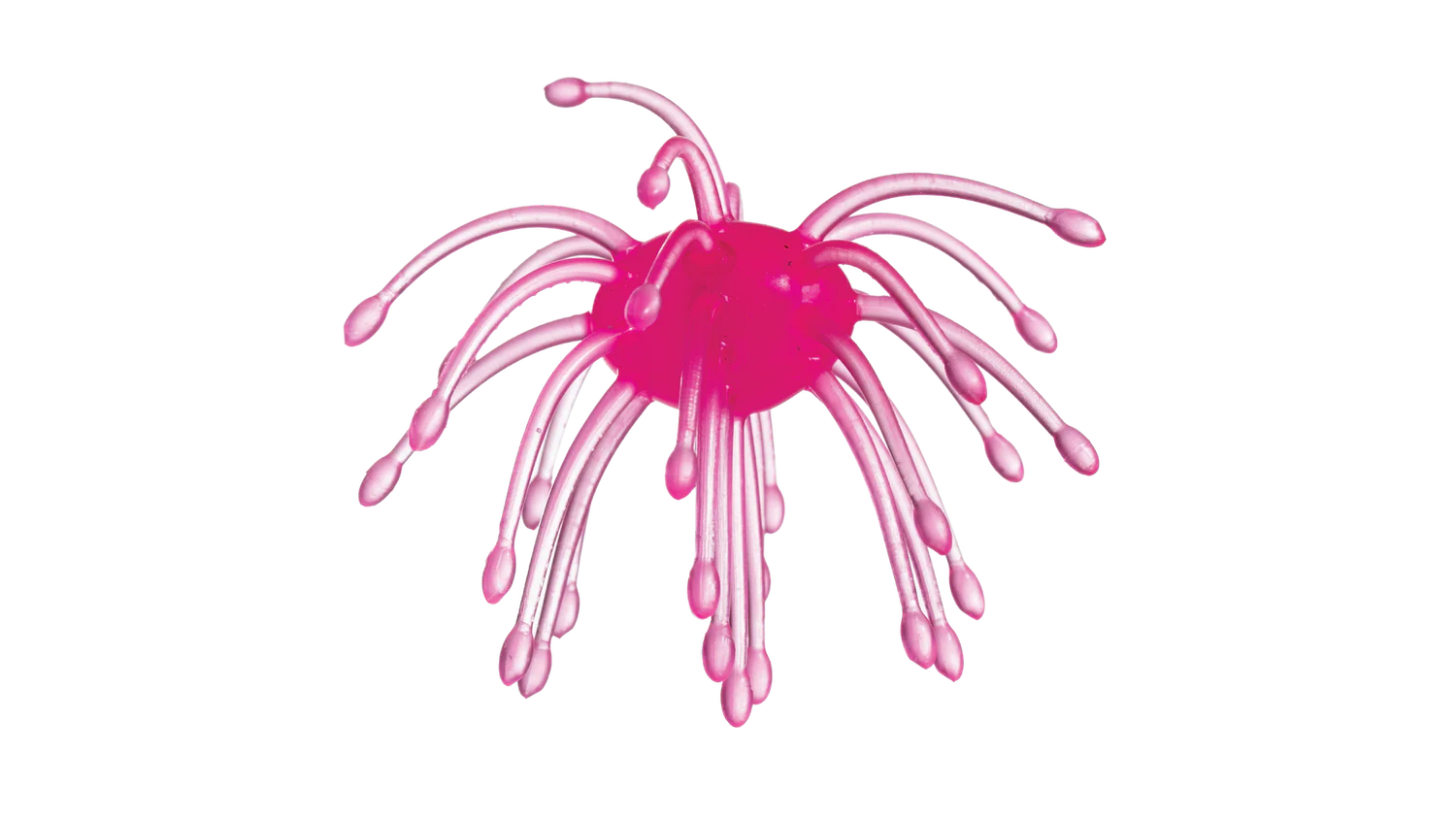 WEBBER Pink product image