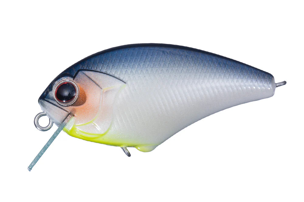 Blitz SSR Blue Fish product image