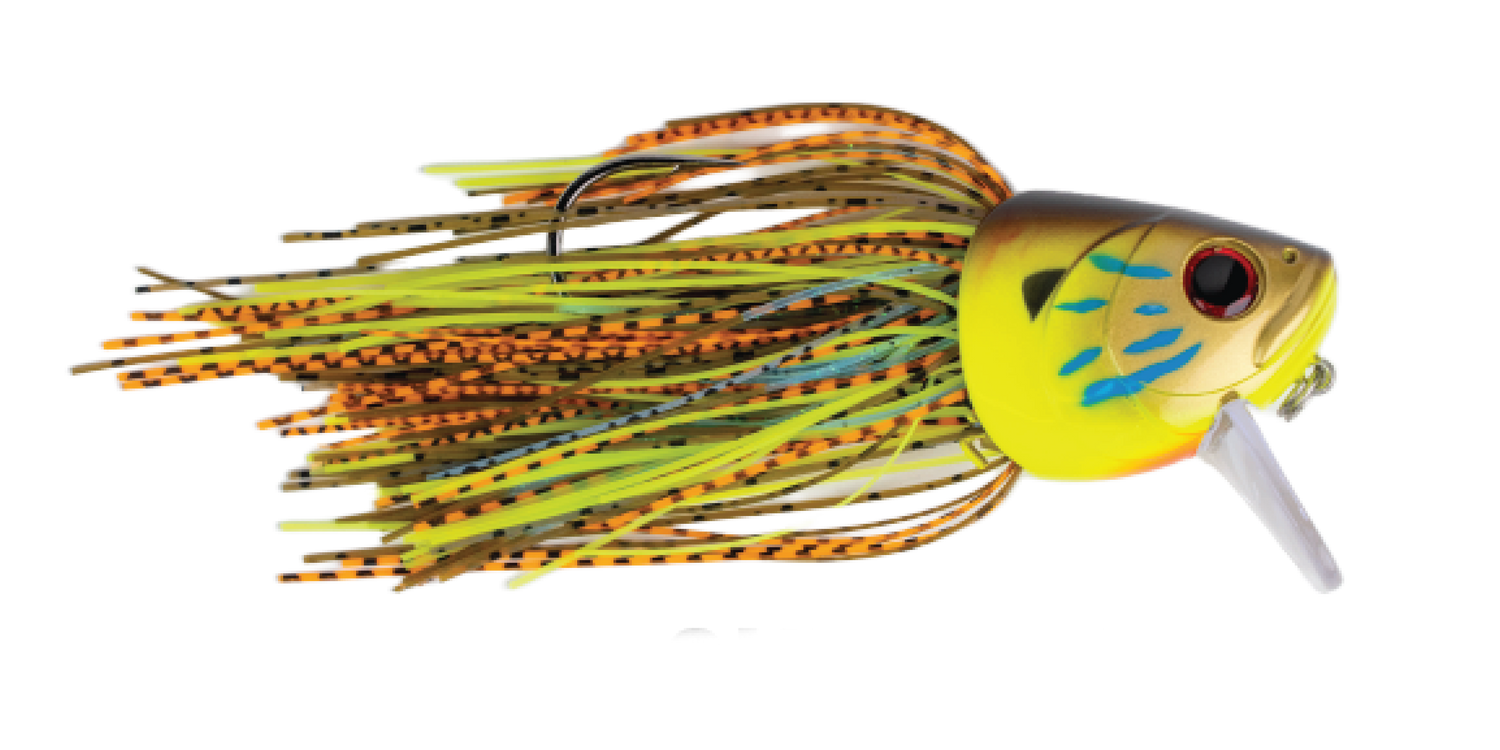 Fighting Fish Sunfish product image