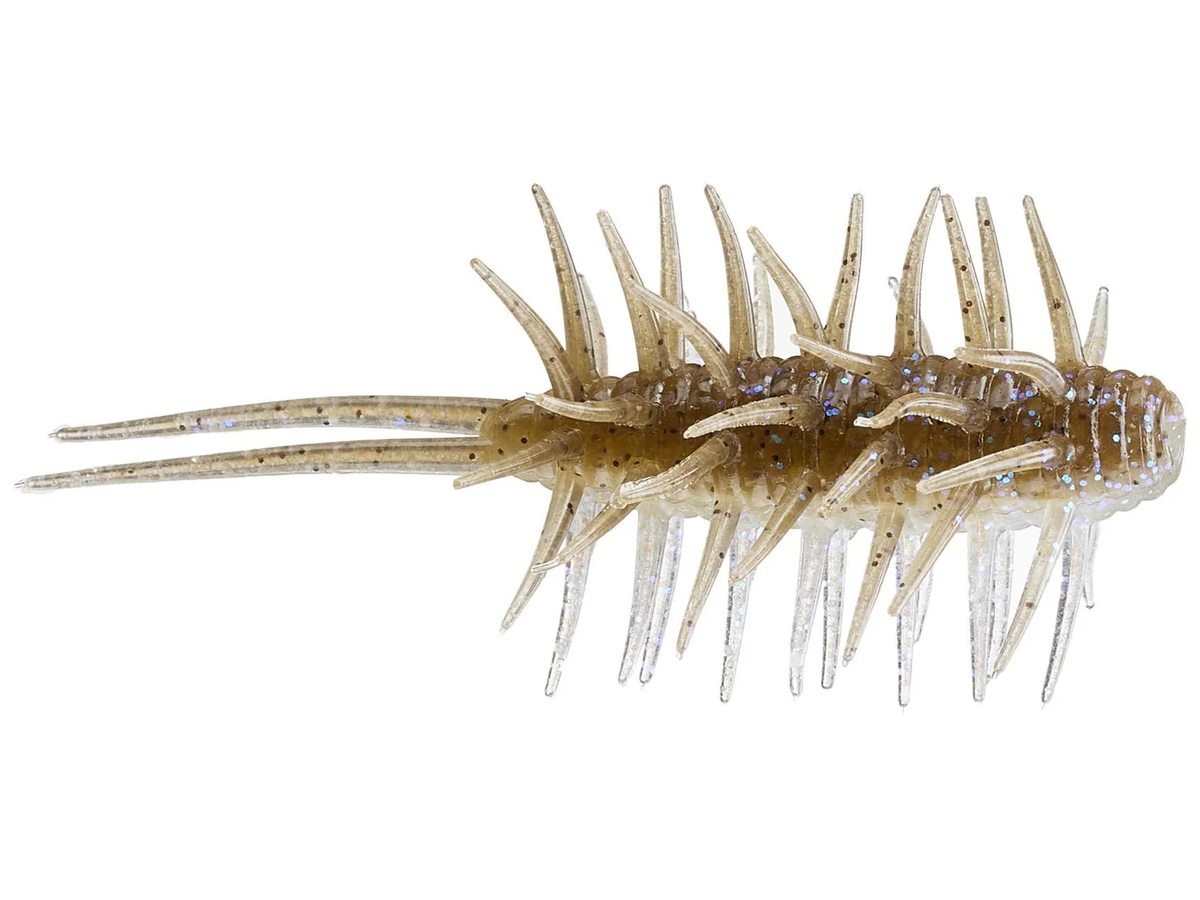 Coike Shrimp Big