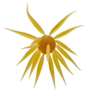 Coike Fish Elastomer L #263 KURIRINKINTOKI product image