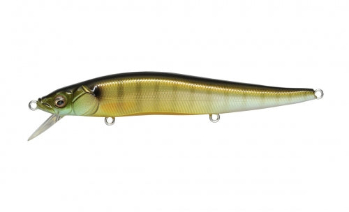 VISION ONETEN GG PERCH OB product image