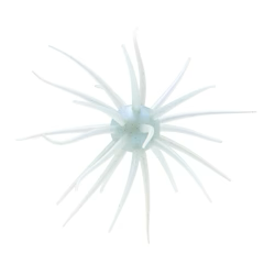 Coike Fullcast #141 TAMARANBAI BLUE product image