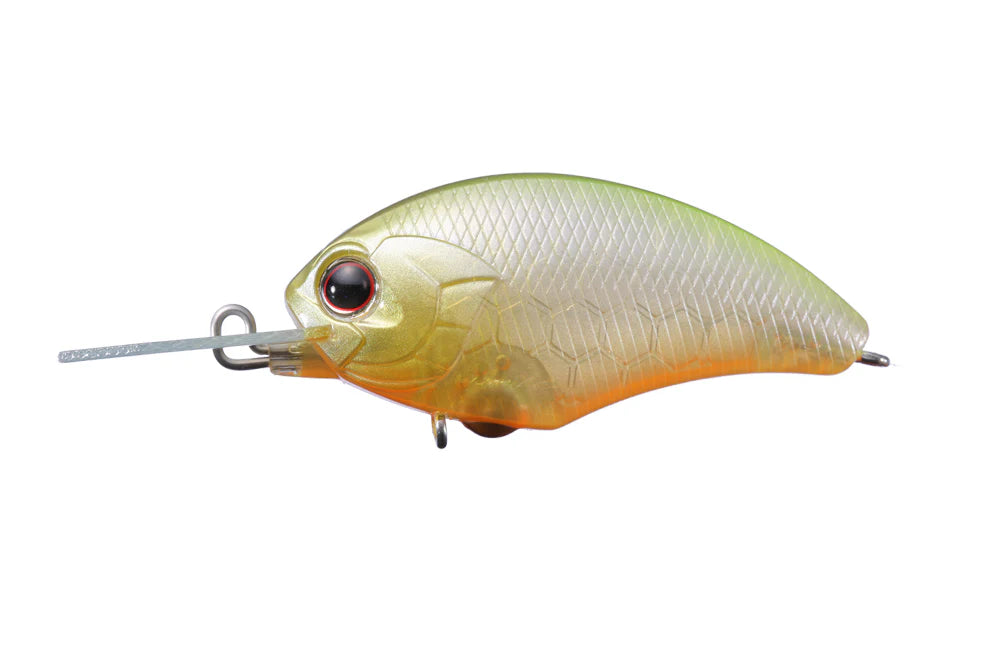 Tiny Blitz DR Pearl Chartreuse Back product image