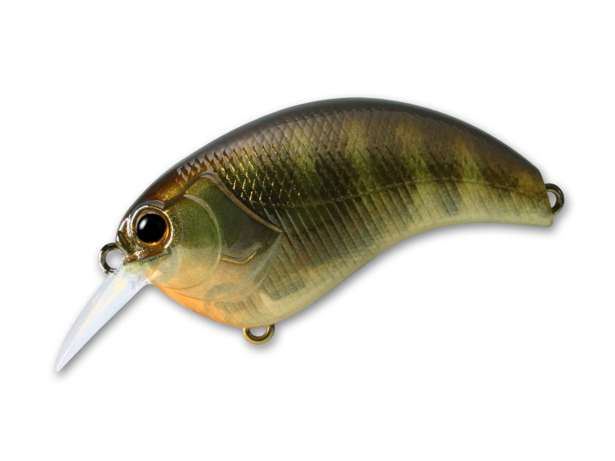 Evoke 1.2 #03 Pond Gill product image