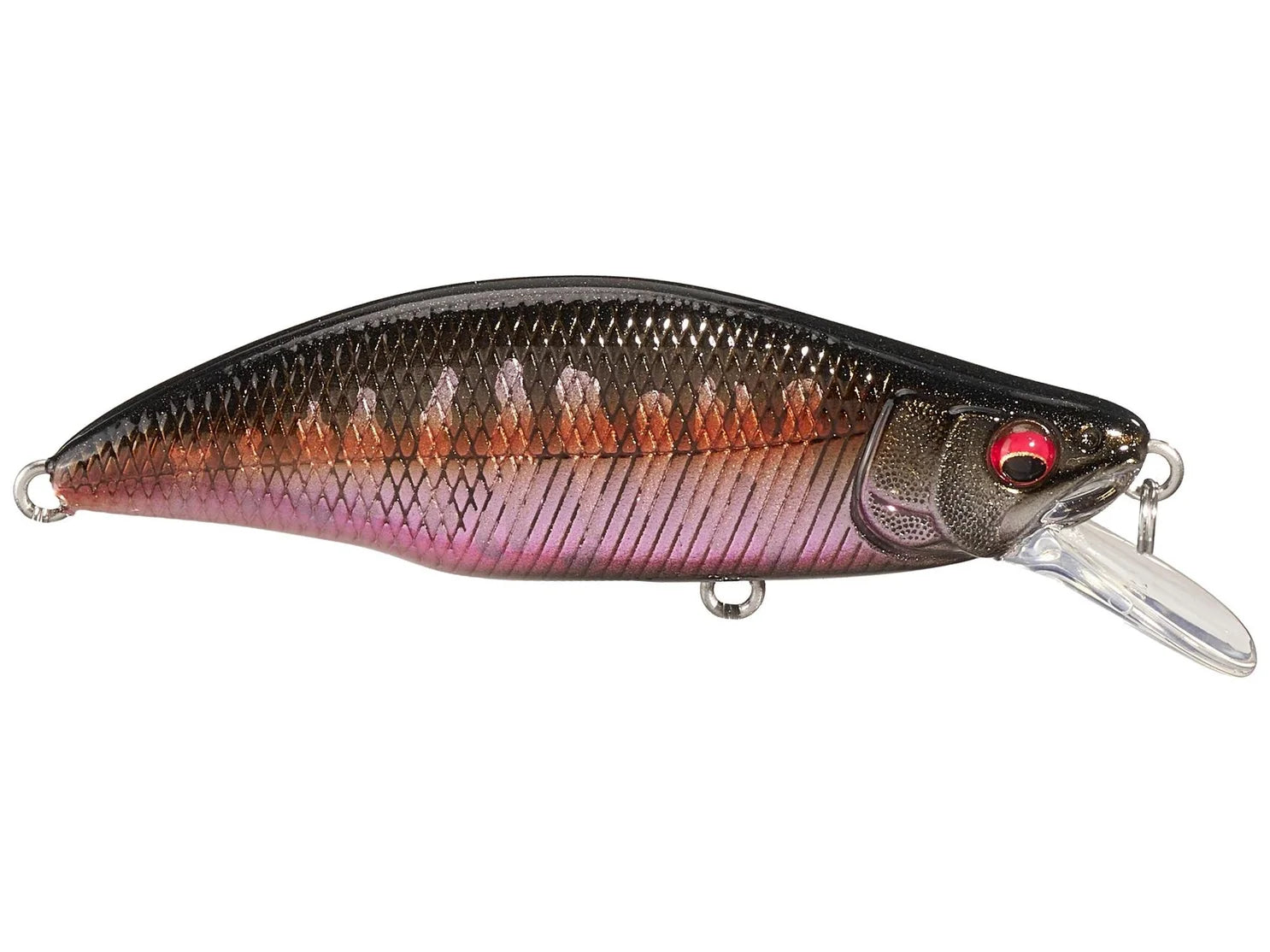 GH51 HUMPBACK (FS) AL AUTUMN HALATION product image