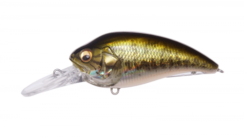 SUPER-Z Z2 GG BASS product image