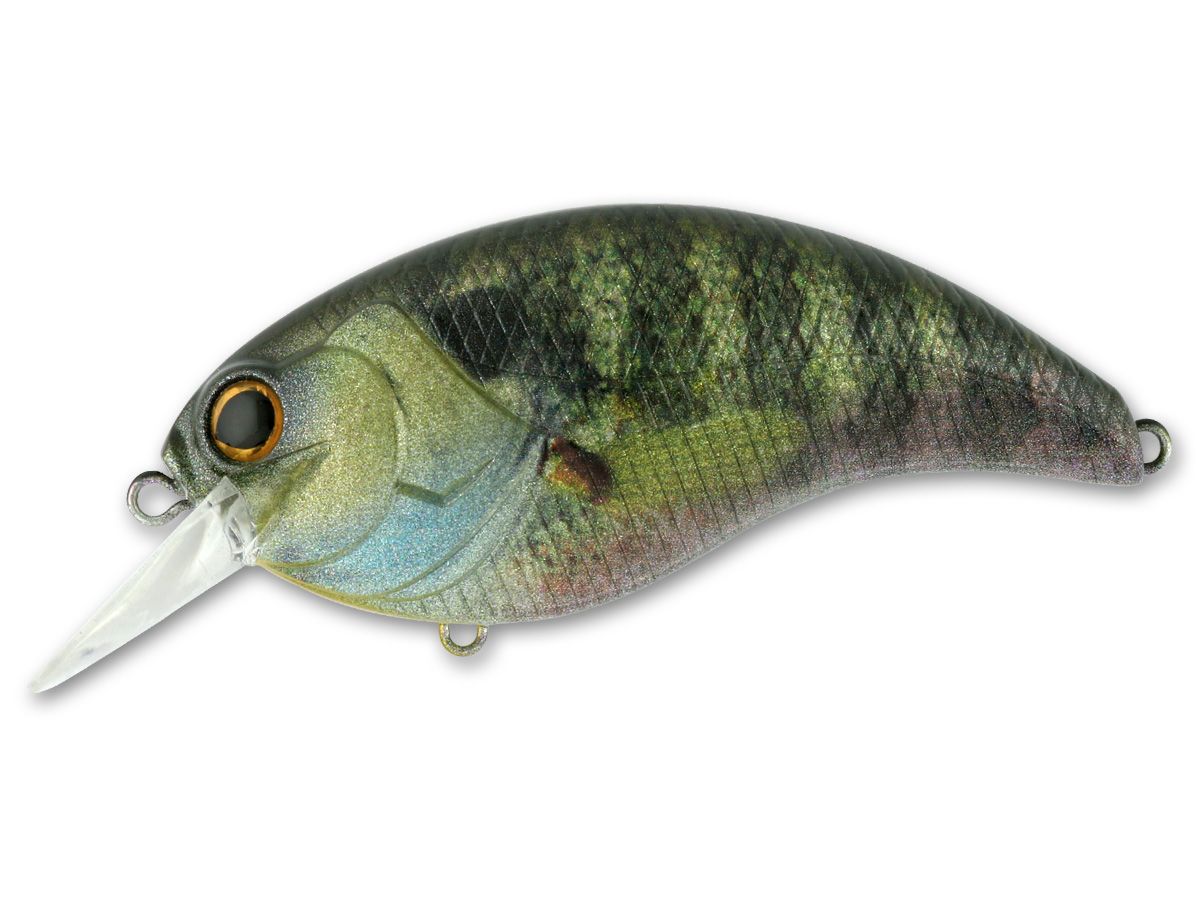Evoke 4.0 #01 Real Blue Gill product image