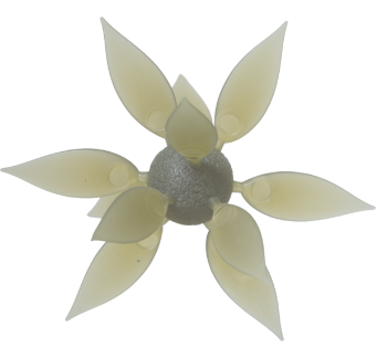 Hideup Coike Fish Gill L