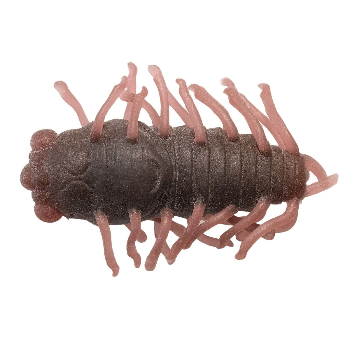 TIEMCO Critter Tackle Kozemimushi Cicada Bait - Dark Mimizu