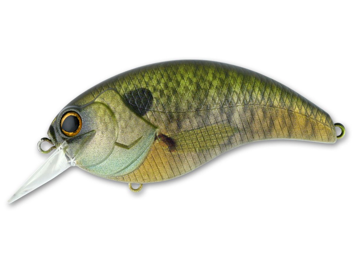 Evoke 4.0 #04 Scum Pearch product image