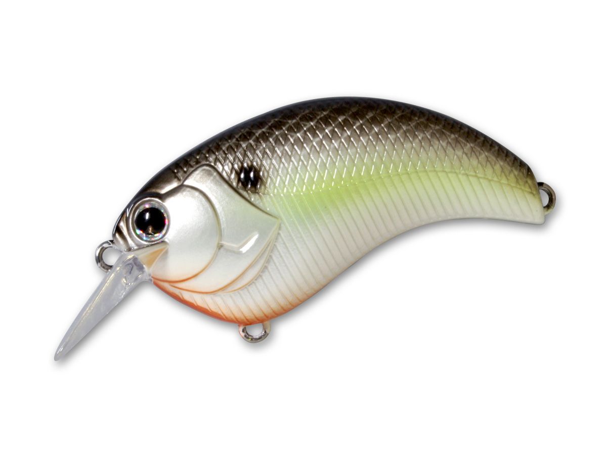 Evoke 1.2 #18 Black Back Shad product image