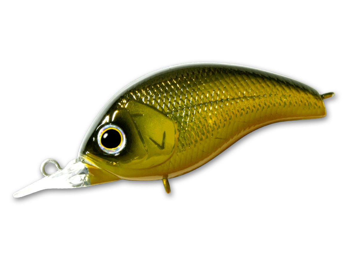 KORRIGAN Shallow Runner #01 Black Gold product image
