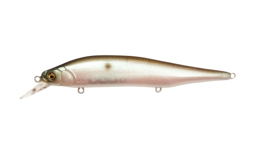 ITO SHINER MB GIZZARD product image