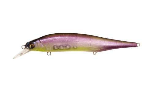 ITO SHINER NORTHERN SECRET product image