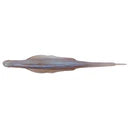 Lady Balance 299-STAIN WAKASAGI product image