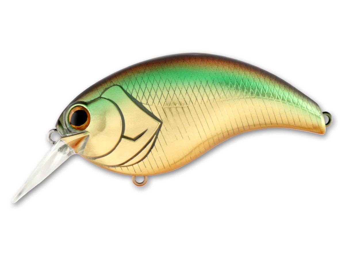 Evoke 3.0 #06 Golden Shiner product image