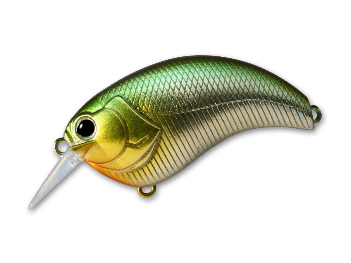 Evoke 2.0 #01 Keta Bass product image