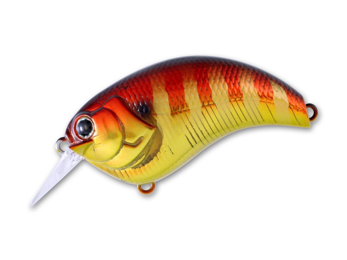 Evoke 1.2 #23 Red Gill product image