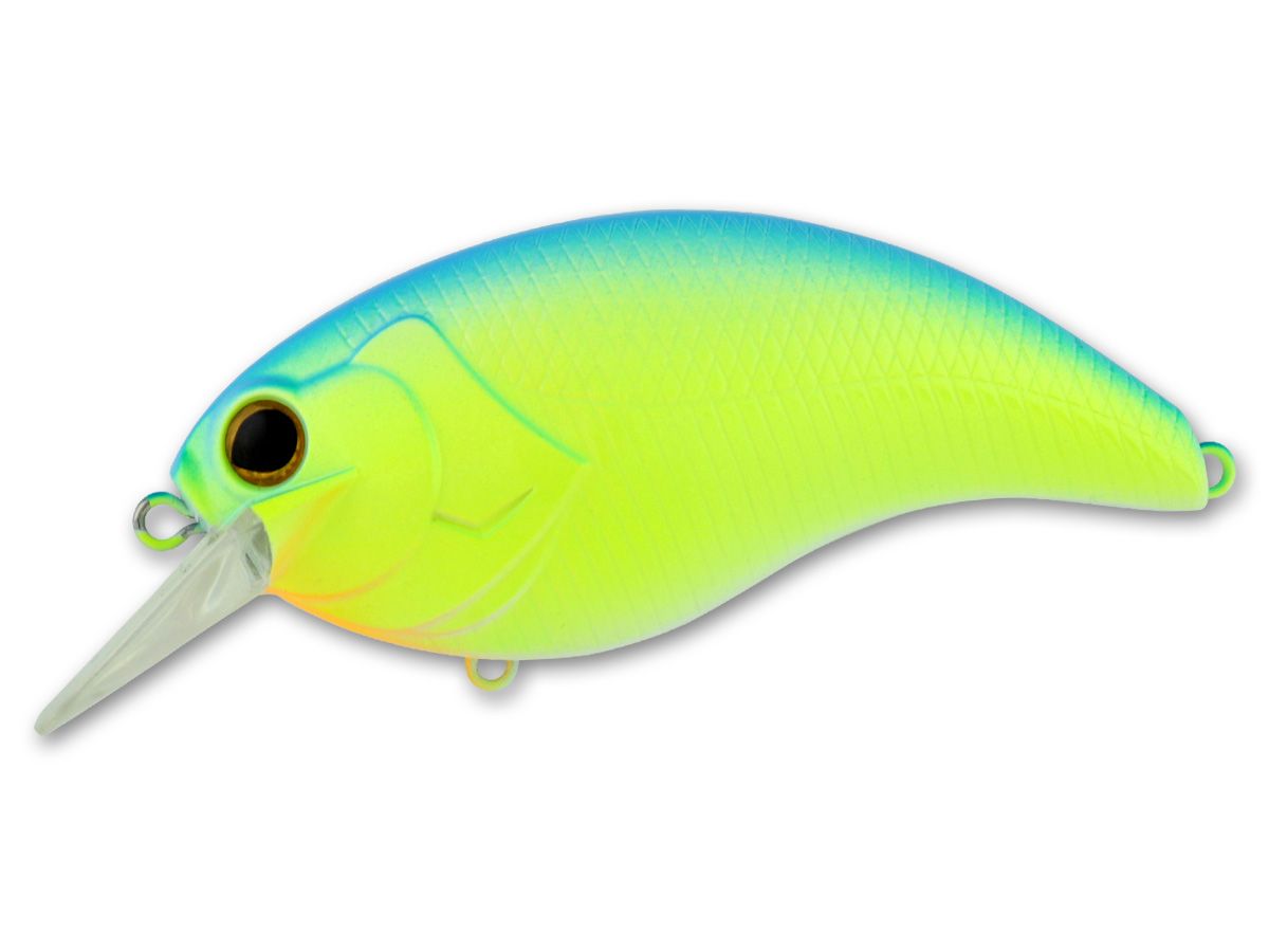 Evoke 4.0 #02 Blue Back Chartreuse product image