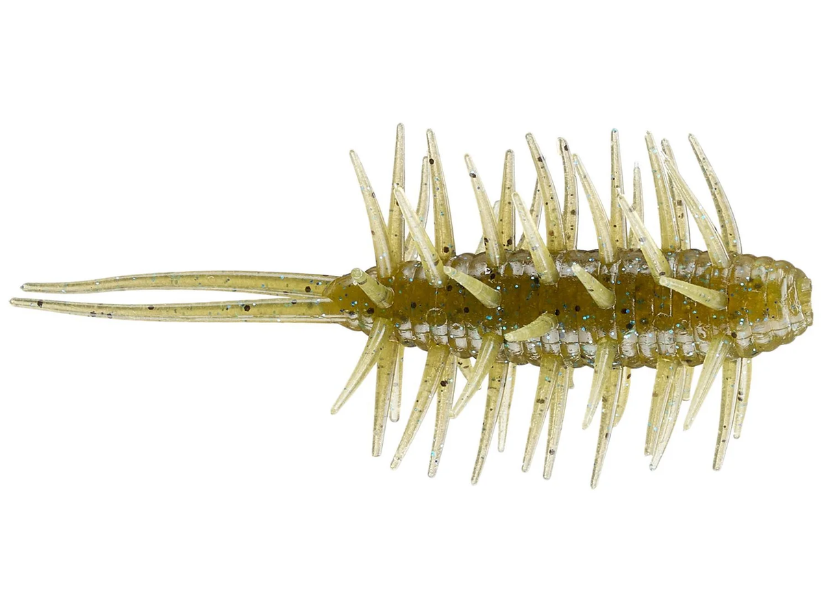 Coike Shrimp Big