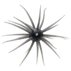 Coike Fullcast #106 GILL product image