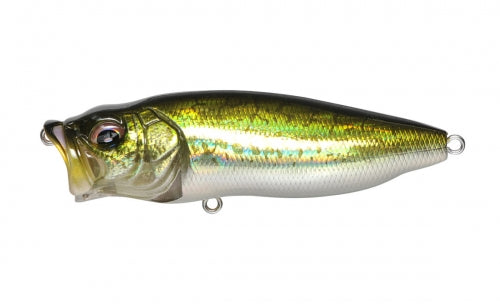 POPMAX GG BASS product image