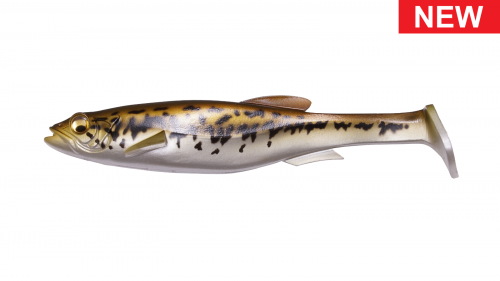 MAGDRAFT BIWAKO SHAD 6in product image