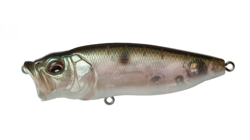POPMAX MAT SHAD product image