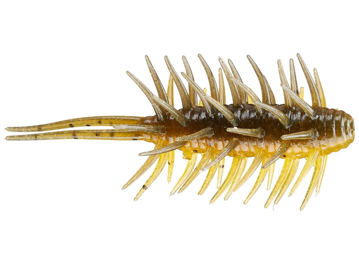 Coike Shrimp Big