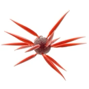 Coike Fish Elastomer L #108 SCUPPERNONG product image