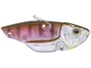 Circuit Vibe 1/4 #09 Juvenile Gill product image