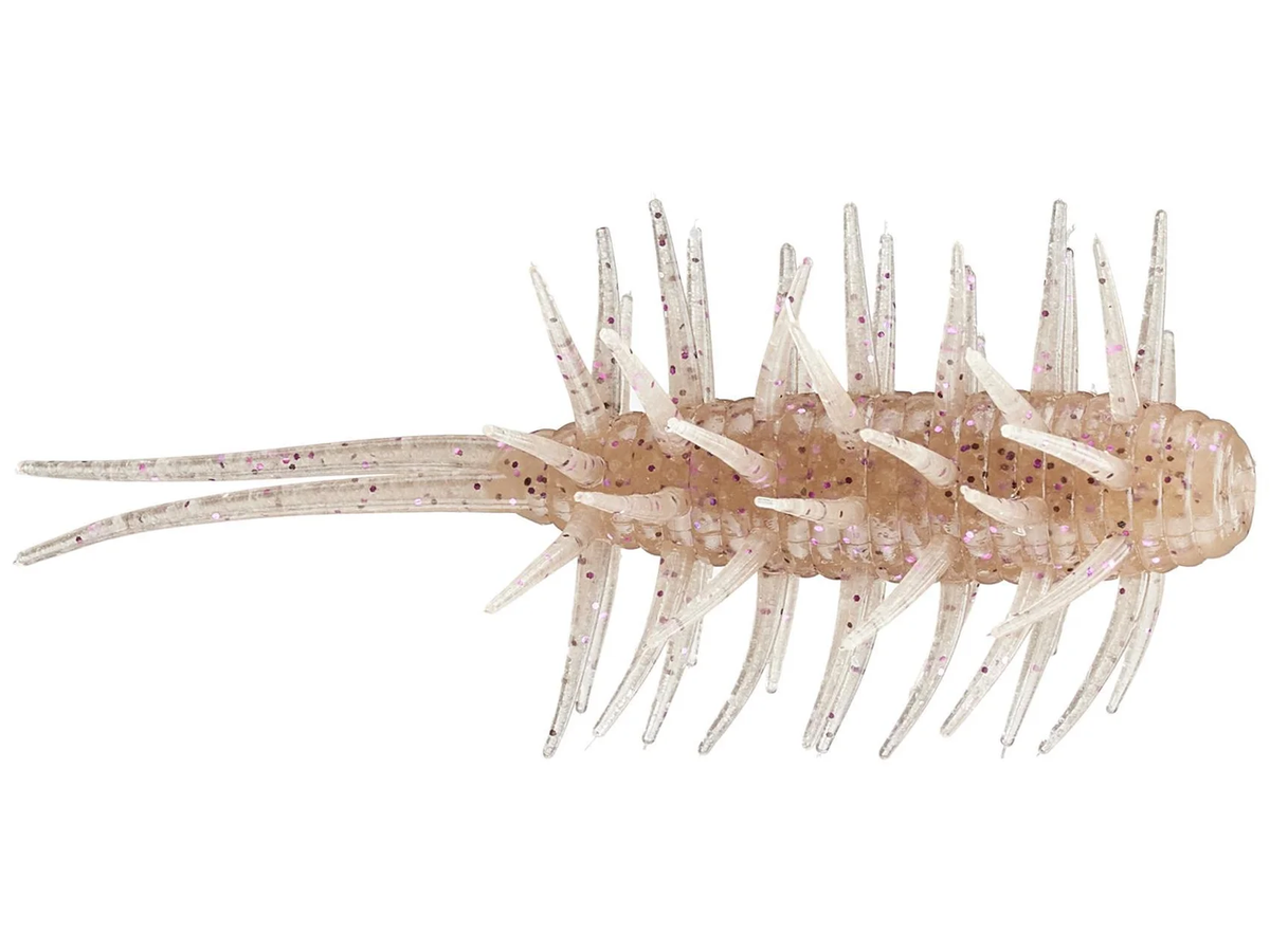 Coike Shrimp Big