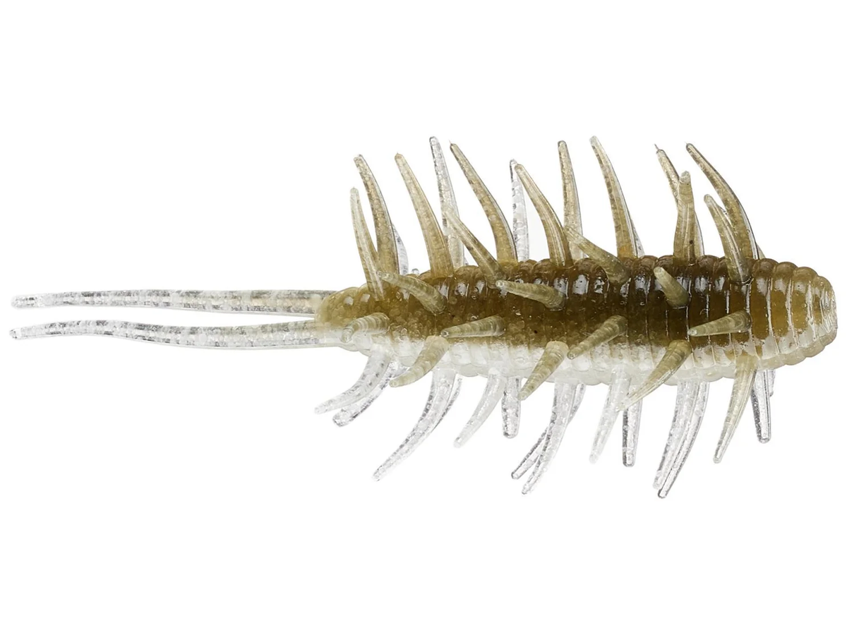Coike Shrimp Big