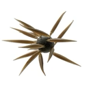 Coike Fish Elastomer L #259 CLEAR BROWN product image