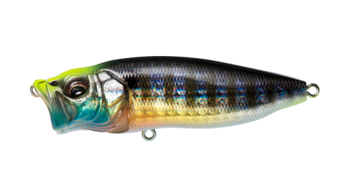 POPMAX GG WILD GILL product image