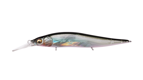 VISION ONETEN+1 Jr. HT ITO WAKASAGI product image