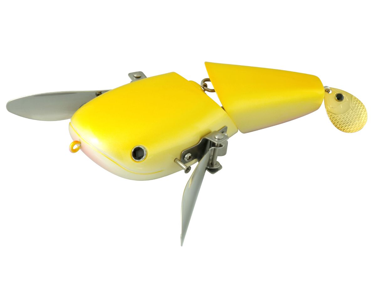 NZ Crawler #03 Albino Catfish product image
