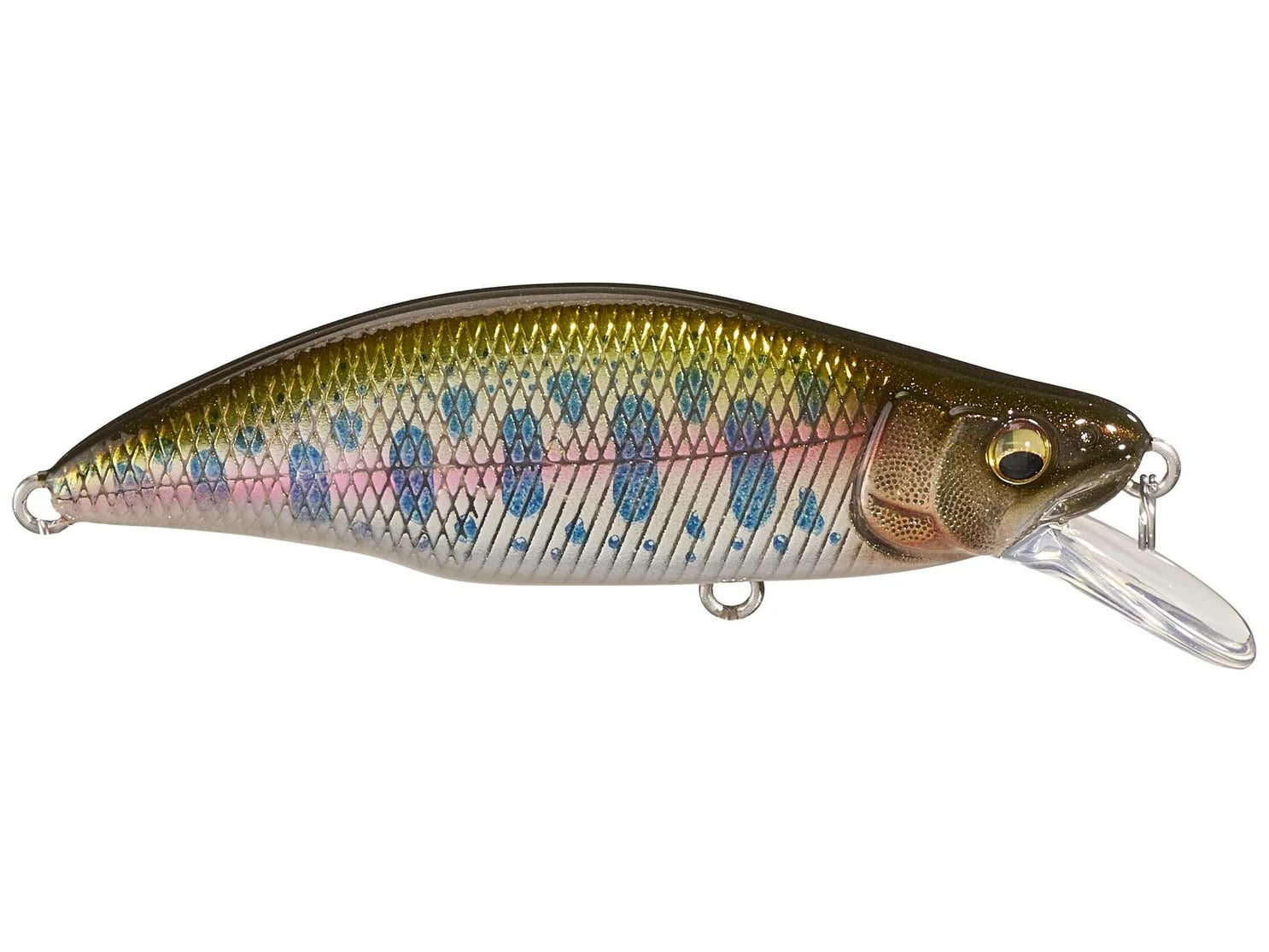 GH51 HUMPBACK (FS) LZ CHART BACK YAMAME product image