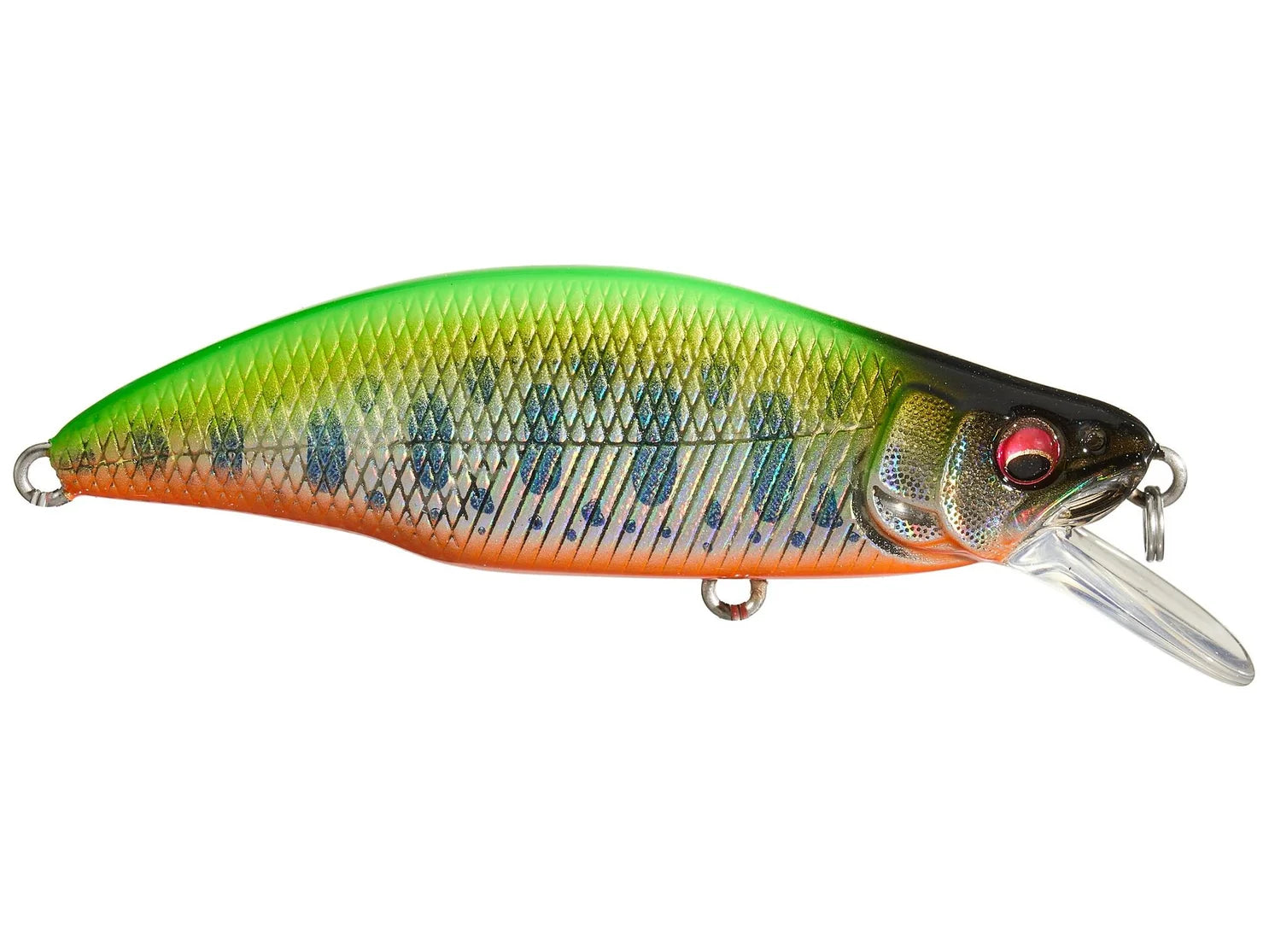 GH51 HUMPBACK (FS) AL SABI YAMAME product image