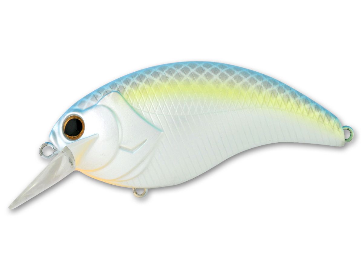 Evoke 4.0 #07 Sexy Shad product image