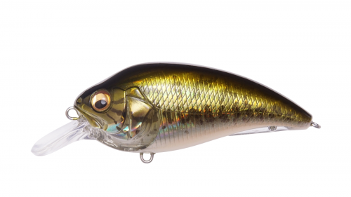 SUPER-Z Z1 GG BASS product image