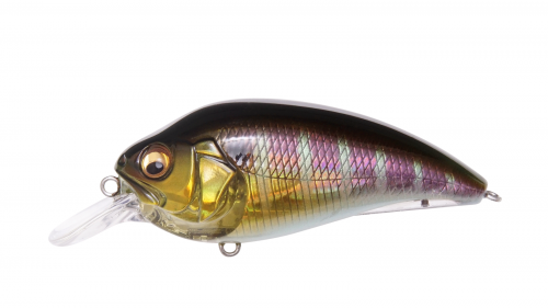 SUPER-Z Z1 GG GILL product image