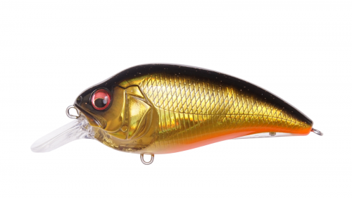 SUPER-Z Z1 GG MEGABASS KINKURO product image