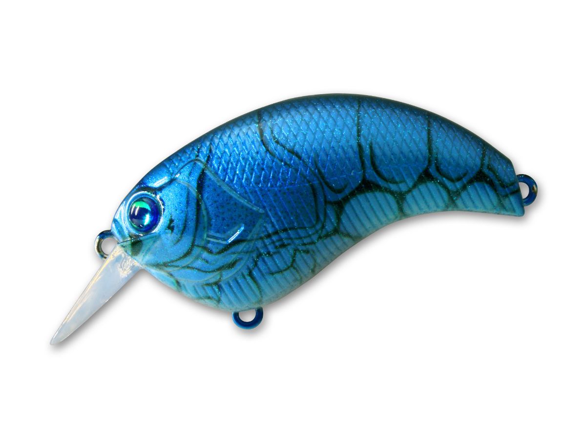 Evoke 1.2 #13 Florida Blue product image