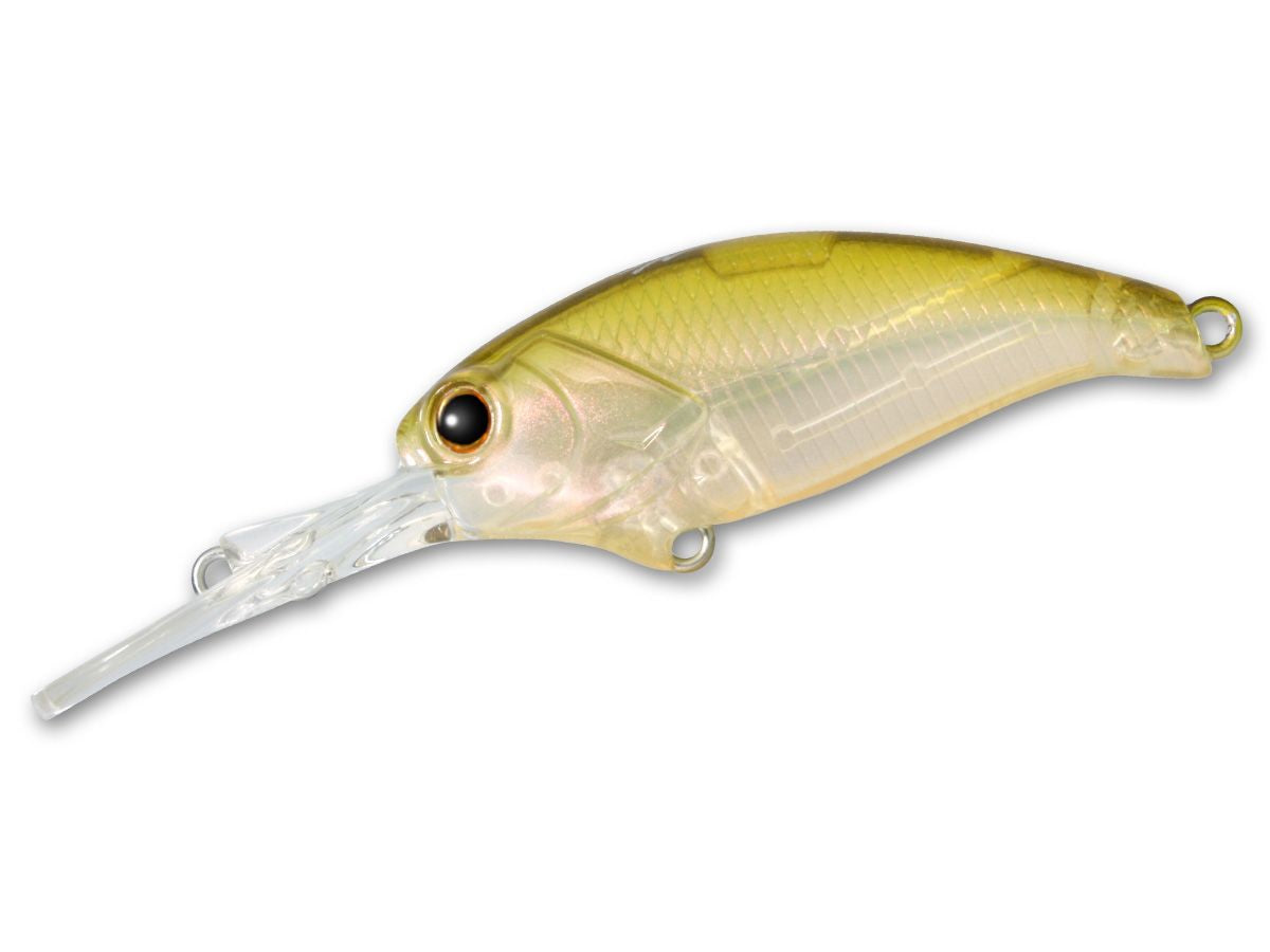 Evoke Shad #04 Chart Back product image